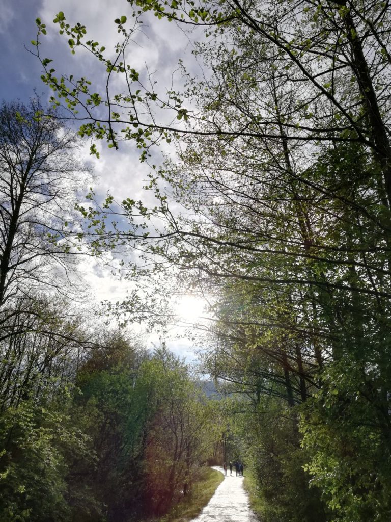 Laufen im Wald